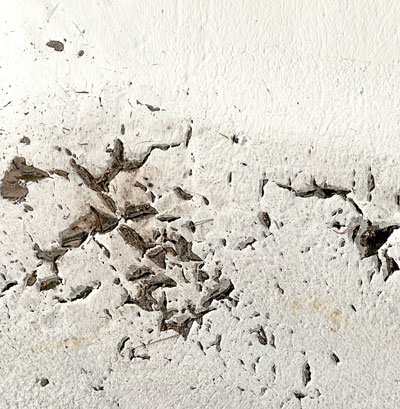 Alligatoring Damage to a Flat Roof in Tucson